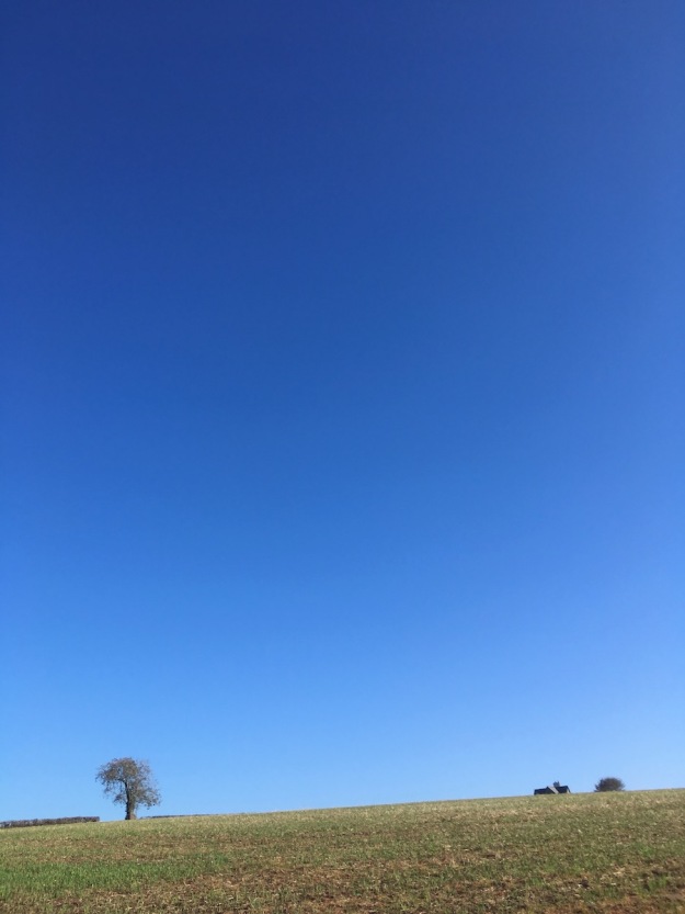 Devon-sky-2018
